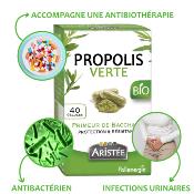 ORGANIC GREEN PROPOLIS FROM BACCHARIS