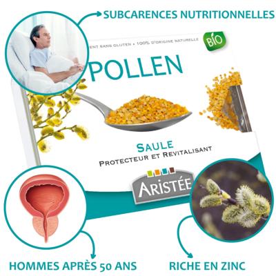 Pollen frais de saule