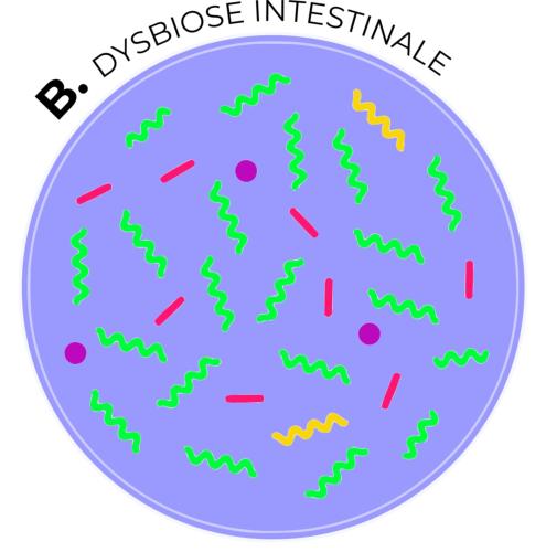 Mieux vieillir avec les pollens frais