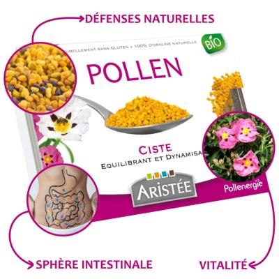 Pollen frais de ciste Ariste