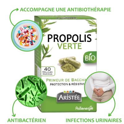 Propolis verte de baccharis Ariste